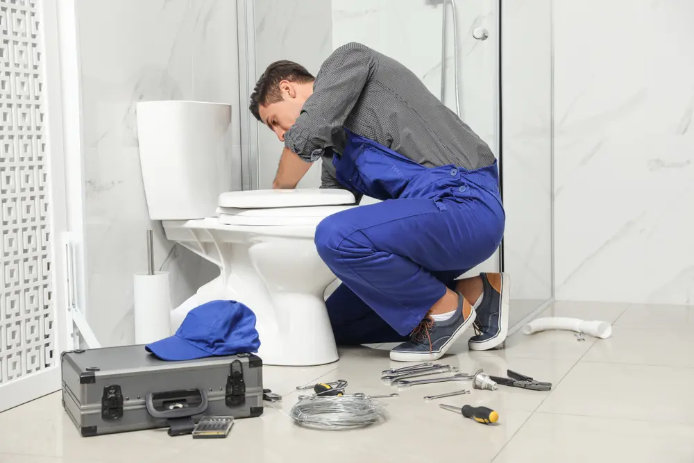 Toilet Installation in Amelia Court House